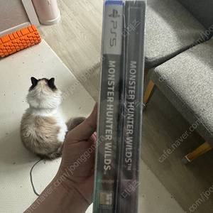 몬스터헌터 와일즈 스틸북포함(코드사용) 팝니다 택포