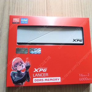 ADATA DDR5 램 16GB 2개