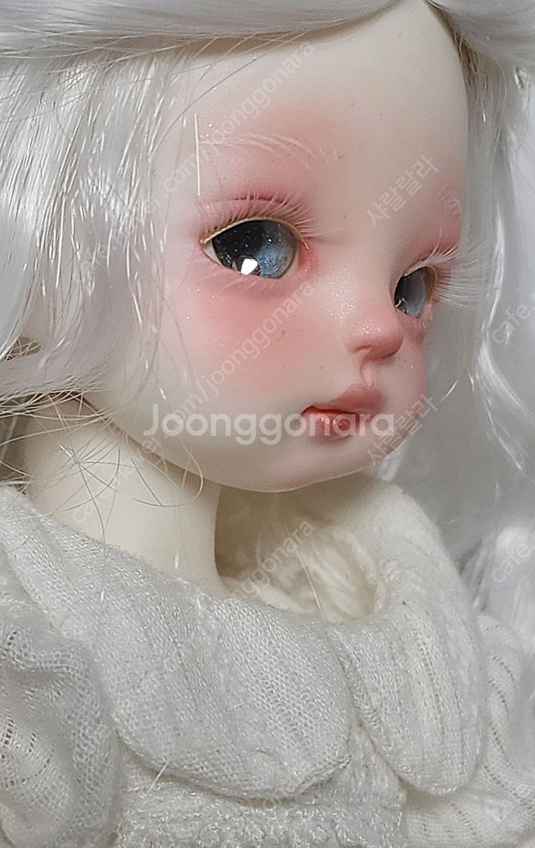 11만 USD 플러피치 미백 코지 헤드만 구관--2