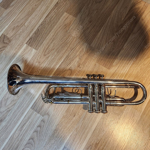 바하 트럼펫 TR501