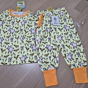 던스 주황돼지 상의110+하의8692