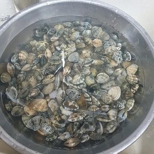 스타벅스 아메 잔당 3700원 3잔보유 7.22