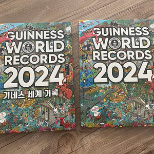 기네스 세계 기록 2024