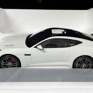 TSM 1/18 재규어 F-타입 SVR