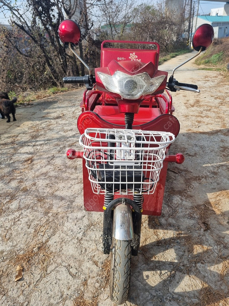 대동삼륜전동차--4