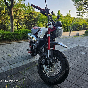 [울산] 몽키125(대차가능)