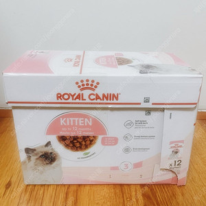 로얄캐닌 캣 파우치 85g 그레이비 키튼 1박스 판매