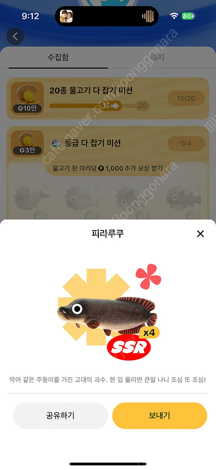 틱톡라이트 SSR 피라루쿠 판매--0