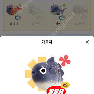 틱톡 물고기 개복치 팔아요