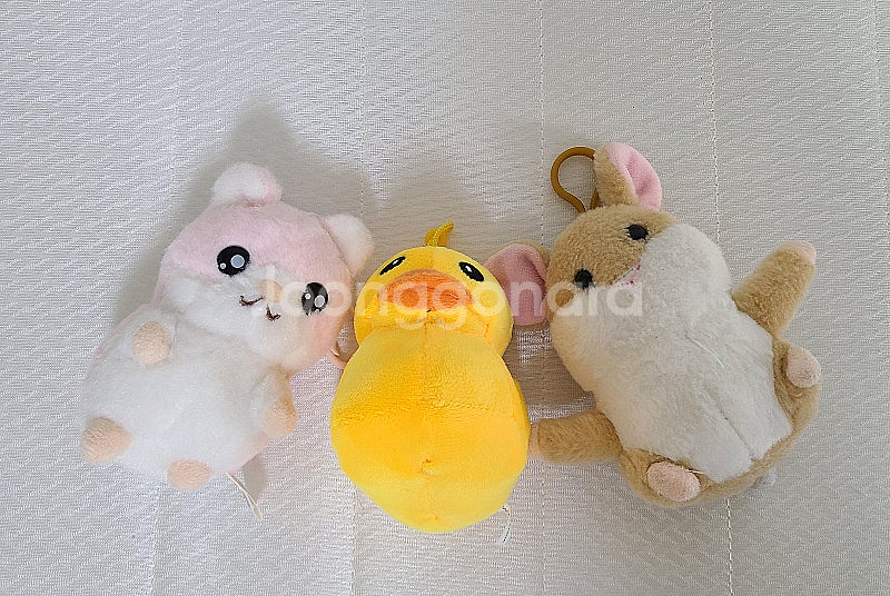 오버액션곰/지방이/뚱스/러버덕/햄찌/햄짱/몽키/베어 인...--7