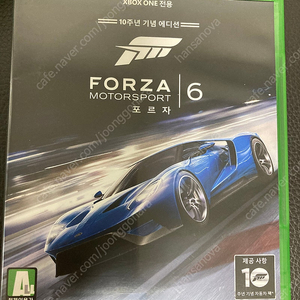 FORZA 모터스포츠6