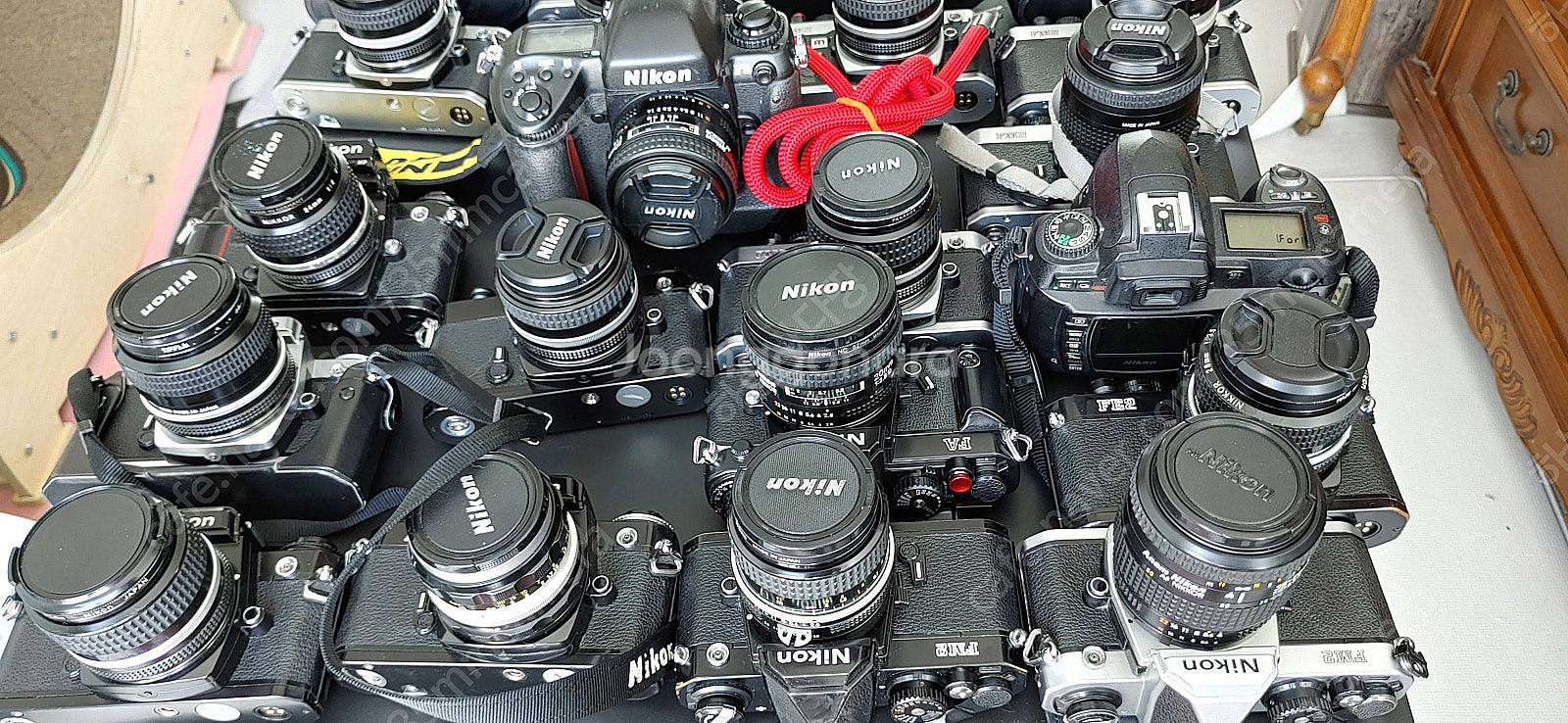 니콘 mf50mm f1.4 (수동 표준렌즈) 골라서 각...--1