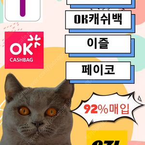 티머니 / 머니트리 / 이즐 / 롯데포인트 특가매입중