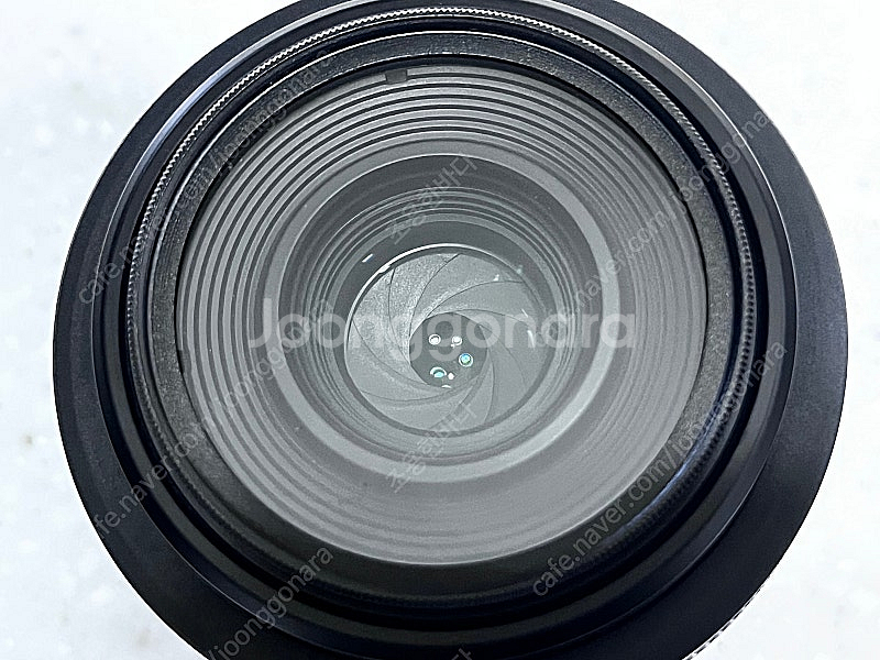 RF 35mm f1.8 macro 25년 4월 3일 정...--3
