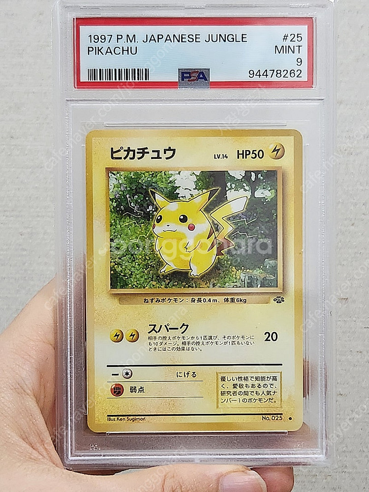 97 정글 피카츄 PSA9 (포켓몬 카드)--0
