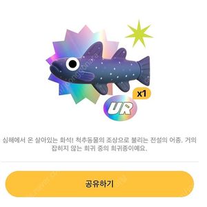 틱톡 실러캔스 팝니다