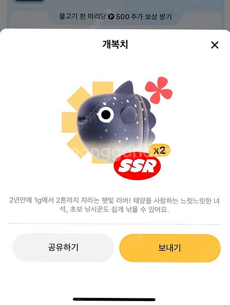 틱톡 개복치 팝니다--0