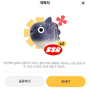 틱톡 개복치 팝니다