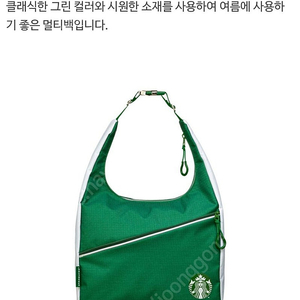 스타벅스 그린멀티백