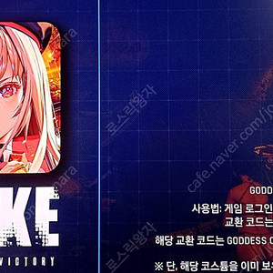 스텔라 블레이드 니케 코드 팝니다