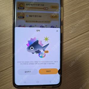 틱톡라이트물고기 상어교환