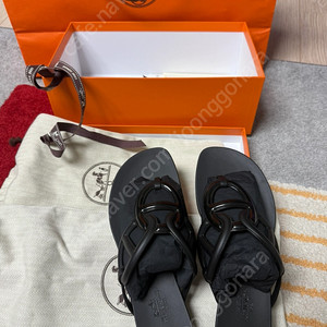 에르메스에제리36