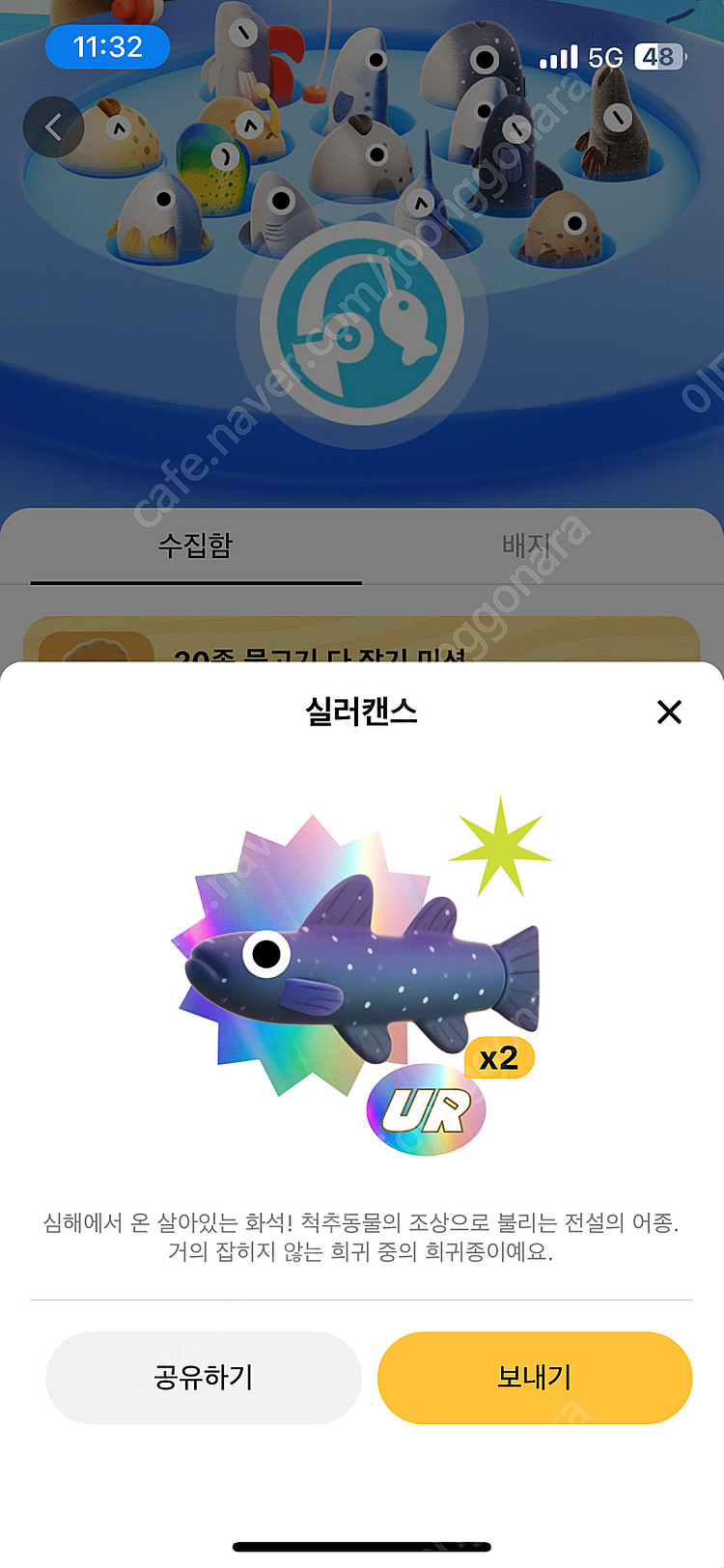실러캔스 UR물고기 팝니다--0