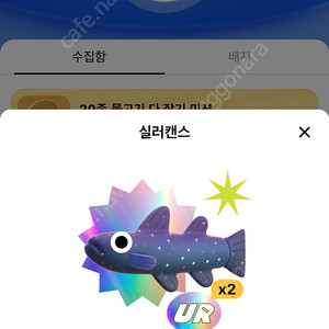 실러캔스 UR물고기 팝니다