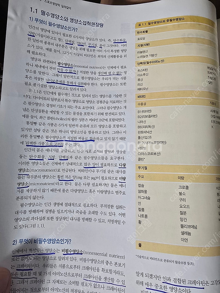 건강 스포츠영양학 길라잡이--1