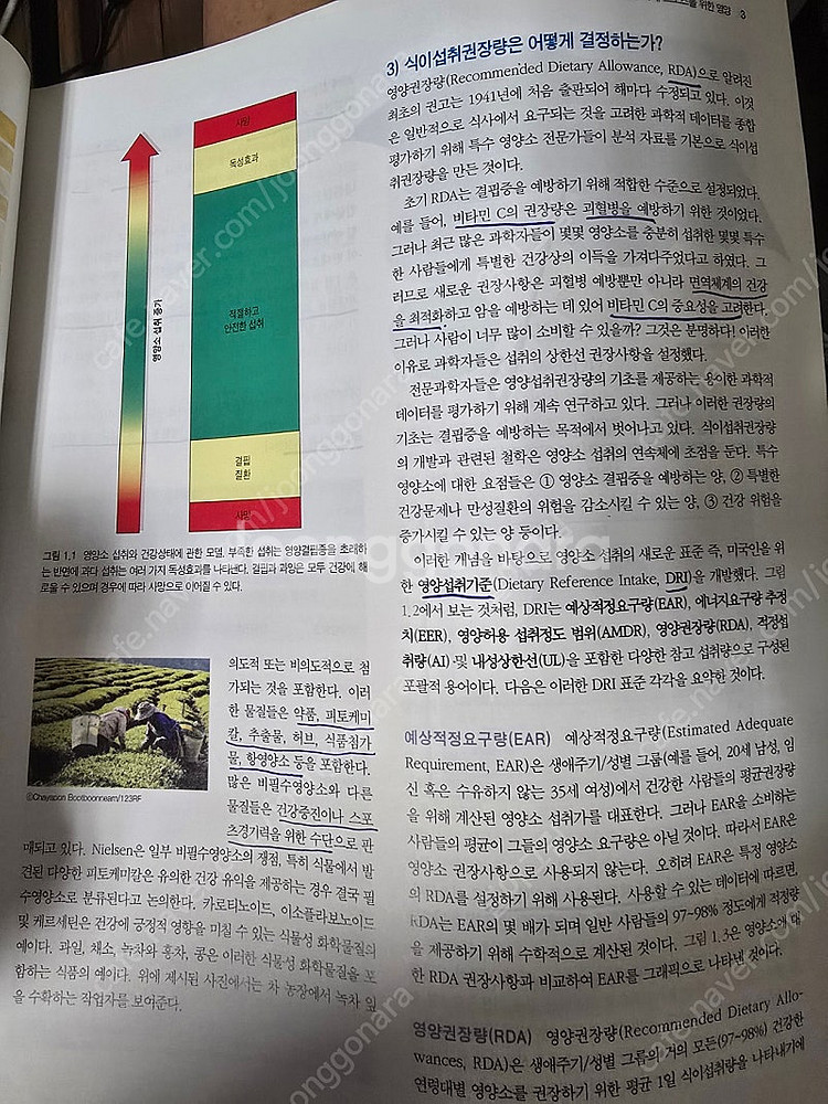 건강 스포츠영양학 길라잡이--2