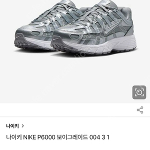 나이키 P6000