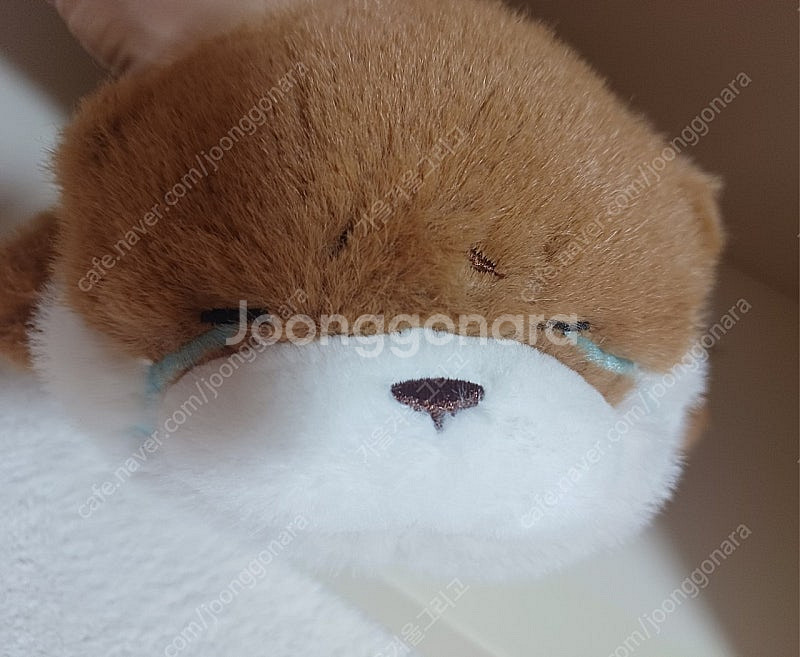 (새상품) 우소우소짱 라잉 브라운 봉제 인형 30cm--0