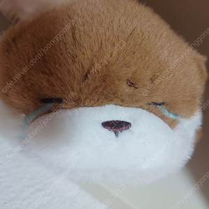 (새상품) 우소우소짱 라잉 브라운 봉제 인형 30cm
