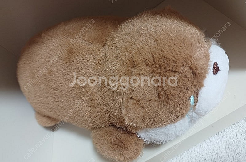 (새상품) 우소우소짱 라잉 브라운 봉제 인형 30cm--1
