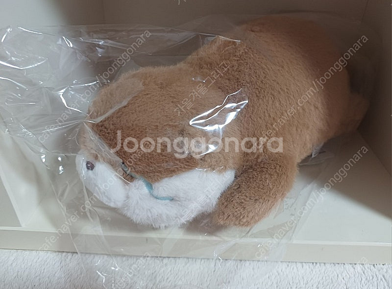 (새상품) 우소우소짱 라잉 브라운 봉제 인형 30cm--3