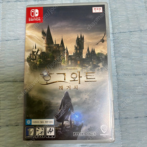닌텐도스위치 호그와트 레거시