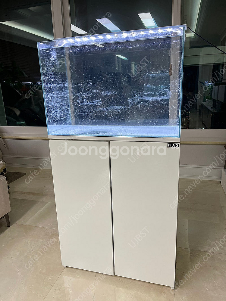 (경기 북부) 베타, 구피 NAS 2자 중폭 수조 축양...--0