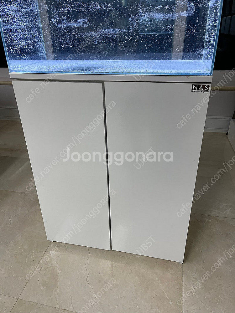 (경기 북부) 베타, 구피 NAS 2자 중폭 수조 축양...--1