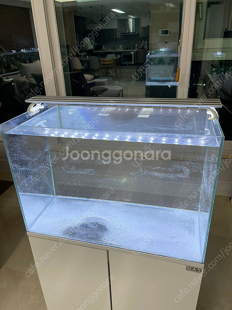 (경기 북부) 베타, 구피 NAS 2자 중폭 수조 축양...--6
