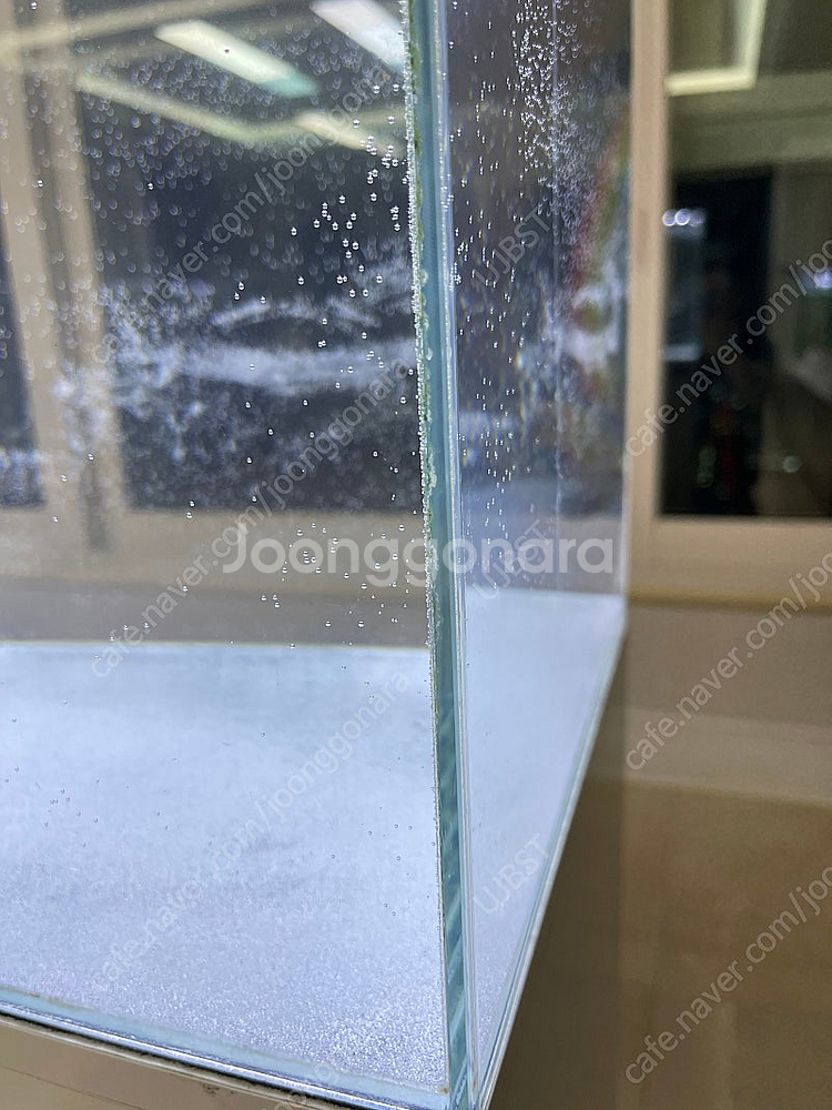 (경기 북부) 베타, 구피 NAS 2자 중폭 수조 축양...--8