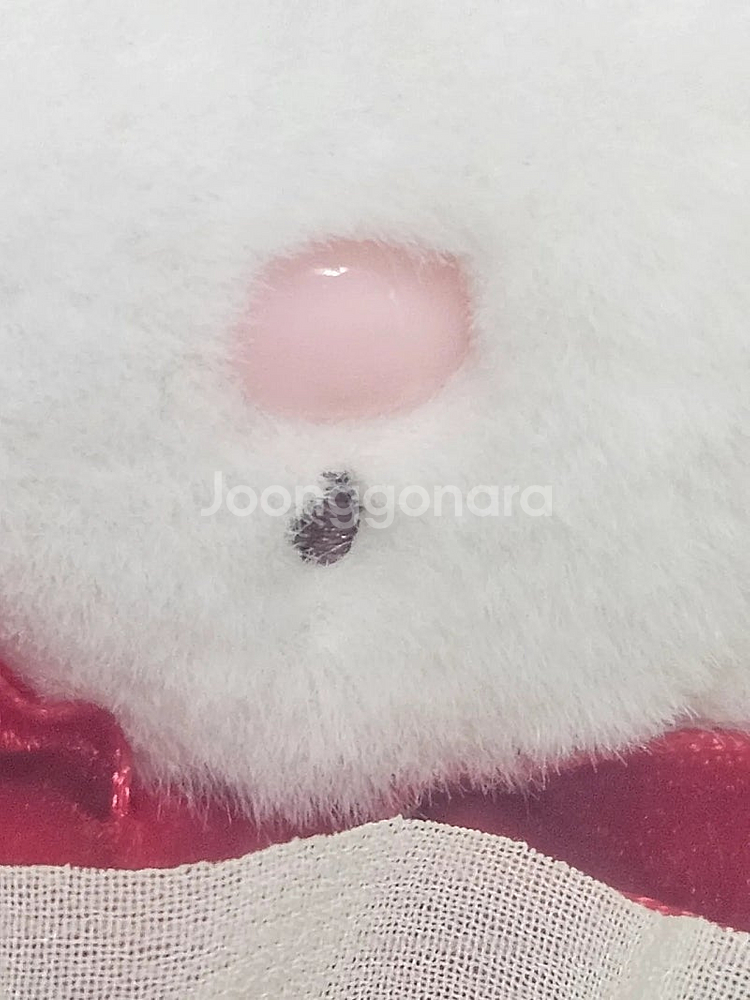 산리오 딸기 쇼트케이크 마이멜로디 누이 인형 세트 판매--7