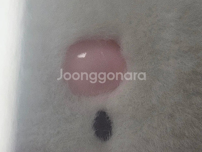 산리오 딸기 쇼트케이크 마이멜로디 누이 인형 세트 판매--8