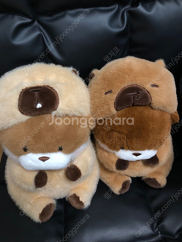 [인형뽑기] 중형인형 판매 개당 7000원!! 그로밋,...--1