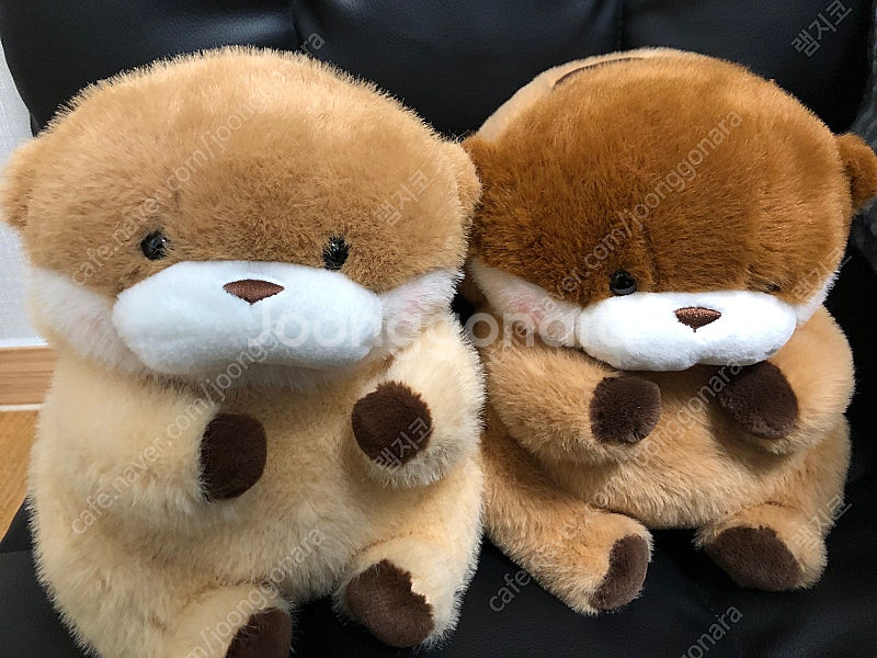 [인형뽑기] 중형인형 판매 개당 7000원!! 그로밋,...--2