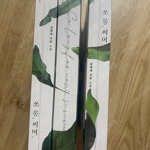 로맨스소설 김차차 쏘롱 써머