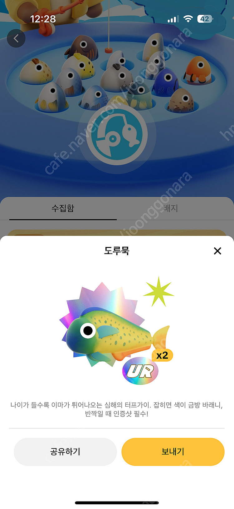 틱톡라이트 도루묵 1마리 35,000원, 개복치 300...--0