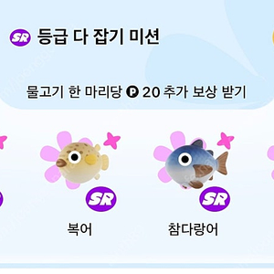 복어, 참다랑어, 판골린 팔아요(개당800원)