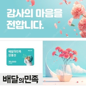 [배달의민족] 모바일상품권 3만원