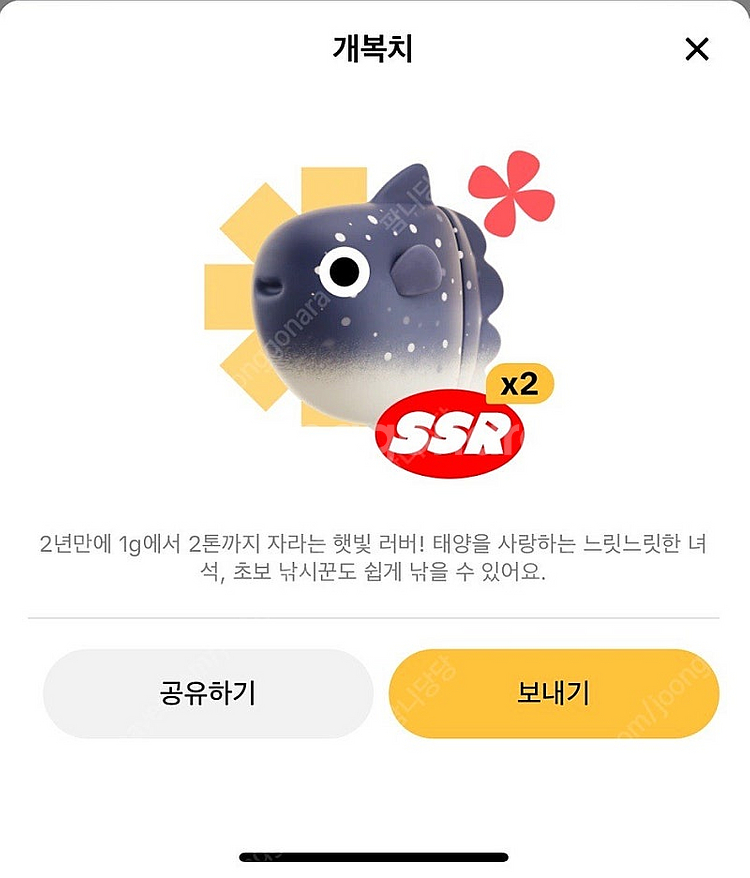 틱톡라이트 개복치 낚시 물고기 팔아요--0