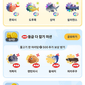 틱톡라이트 낚시 피라루쿠 2천ㅍ